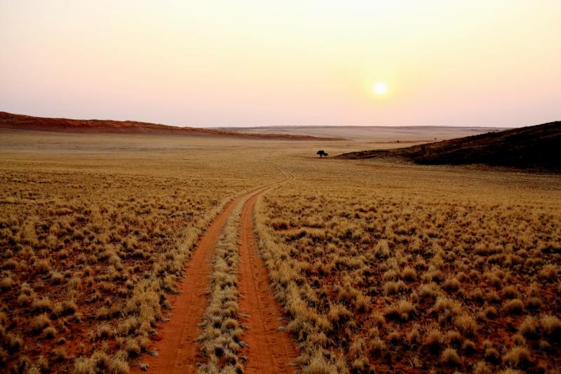 Namibia, Namib Wüste ©Sense of Africa