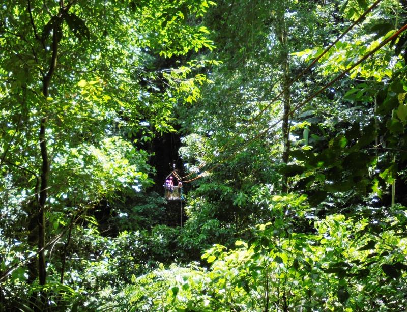 Costa Rica, Quebrada Arroyo, Los Campesinos