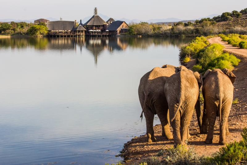 Südafrika, Oudtshoorn, Buffelsdrift Game Lodge