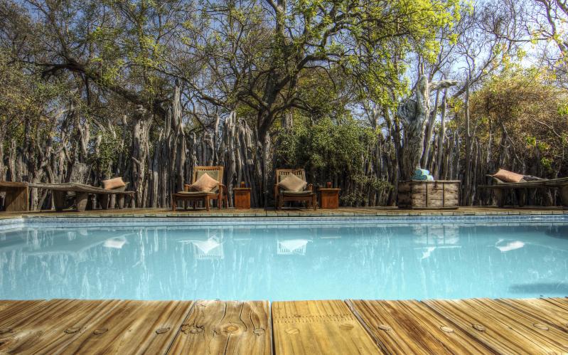 Botswana, Moremi Game Reserve, Camp Xakanaxa, Pool