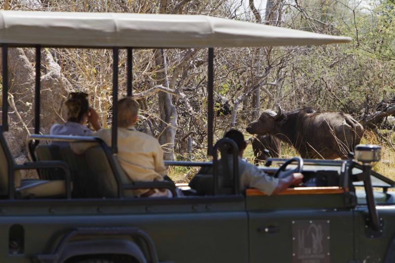 Botswana, Moremi Game Reserve, Camp Xakanaxa, Safari, Game Drive