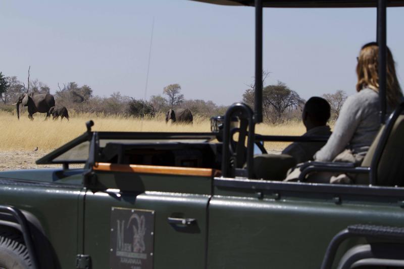 Botswana, Moremi Game Reserve, Camp Xakanaxa, Safari, Game Drive