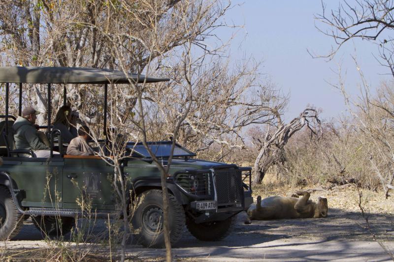 Botswana, Moremi Game Reserve, Camp Xakanaxa, Safari, Game Drive, Löwe, Ranger
