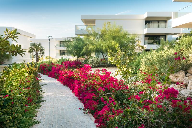 Karibik, Curacao, Jan Thiel Bucht, Papagayo Beach Hotel, Garten