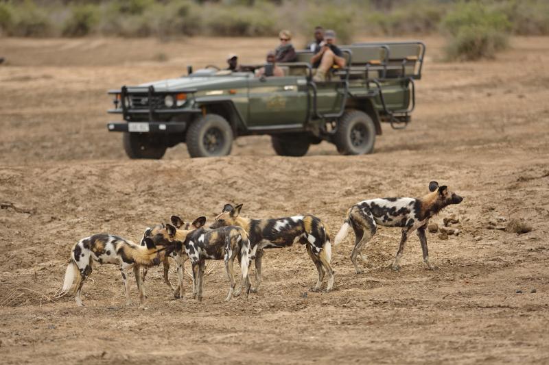 Sambia, Luangwa Nationalpark, Lions Camp, Game Drive