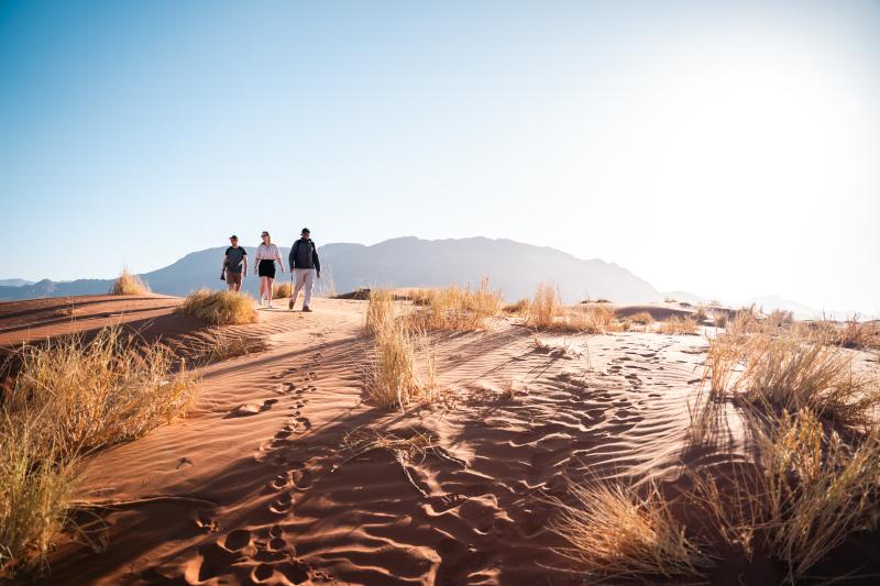 Namibia, NamibRand Reserve, Plains Camp, Bushman Walk