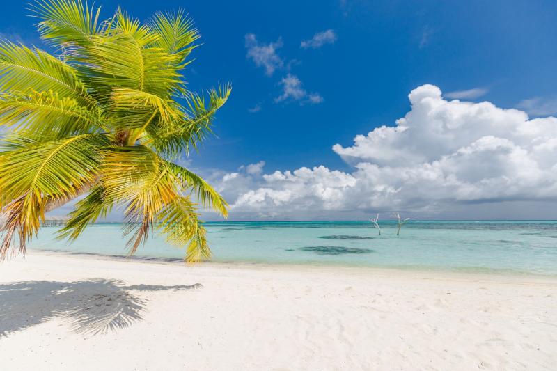 Malediven, South Ari Atoll, LUX South Ari Atoll, Strand