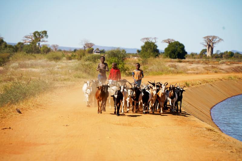 Madagaskar, Manja