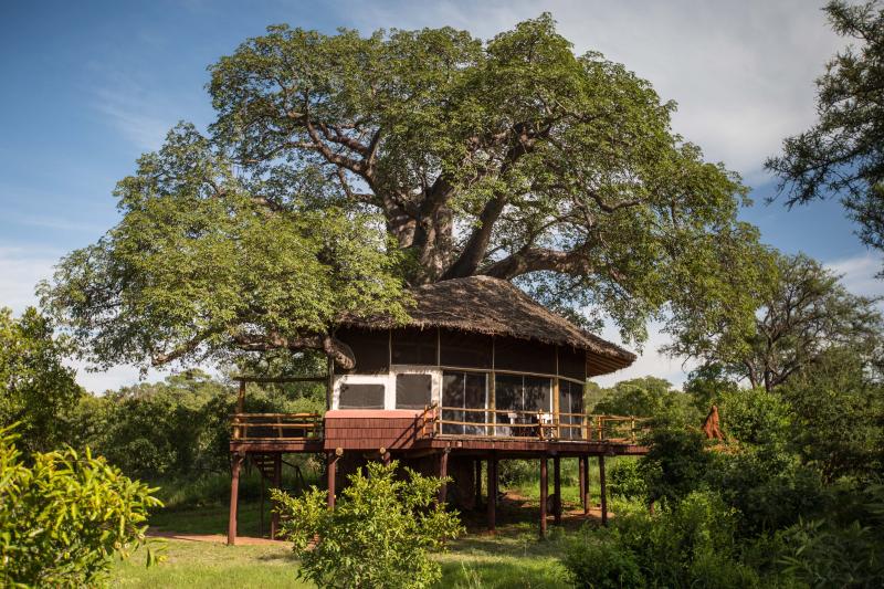 Tansania, Tarangire Nationalpark, Tarangire Treetops Lodge, Zimmerbeispiel Treehouse Suite
